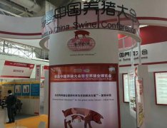 广告设计中的策略