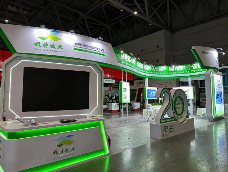 广告设计中的策略